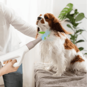 027a59e8-fd74-4c86-a572-418655c9aba2-3.png VelociPet Pro Pet Hair Dryer