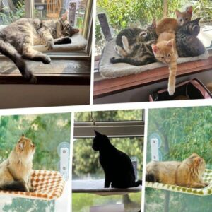158773f3-7b0f-4bac-b86d-e9d2aa07ac96-3.jpg WindowNest Cat Lounger