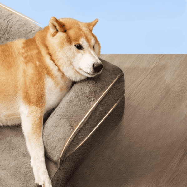 PawCloud Comfort Orthopedic Pet Bed