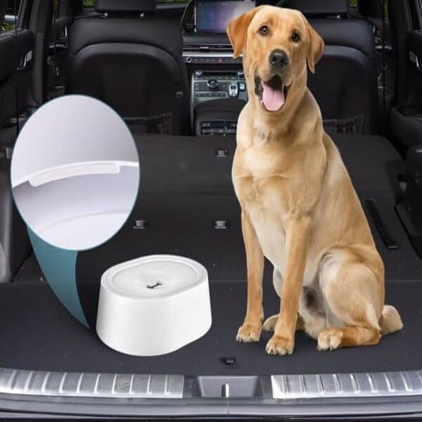 AquaGuard Pet Water Bowl