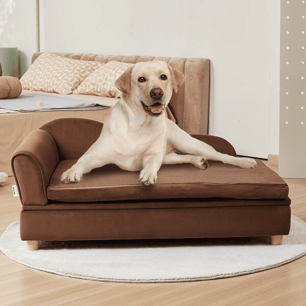 Loungin Tails Pet Sofa