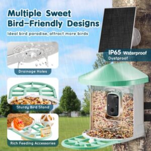 3fbd65e7-8bc0-42a6-9ae5-c39d76207acd_cleanup-3.jpg FeatherScout Wi-Fi Bird Feeder