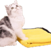 PawfectDry Microfiber Pet Towel