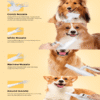 VelociPet Pro Pet Hair Dryer