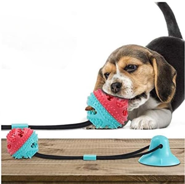 Chomp-n-Play Multi-Action Dog Toy