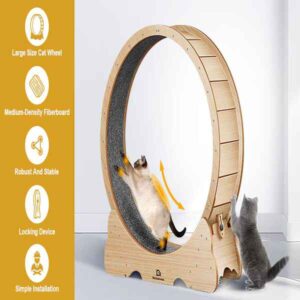6d8a5e9f-1360-4886-b1a1-84d5b8404fcc-1-3.jpg QuietWhirl Cat Fitness Wheel