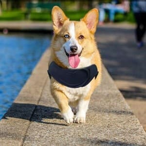 SereniPaws Pet Anxiety Calming Vest