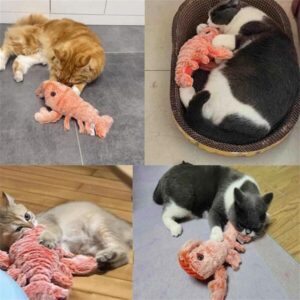 71MIpom2cgL._AC_SL1500_-3.jpg FlopSense Interactive Pet Toy