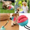 Chomp-n-Play Multi-Action Dog Toy