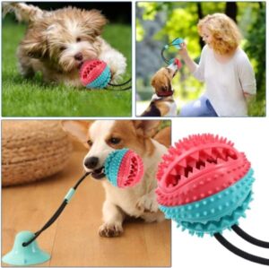 Chomp-n-Play Multi-Action Dog Toy