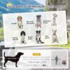 PawCruiser Pet Stroller