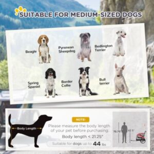 78b35cd7-9abf-4c0a-a7bd-a5a90cca5f07-3.jpg PawCruiser Pet Stroller