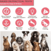 PawMotion Interactive Treat Toy