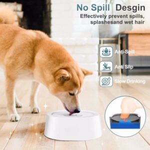 AquaGuard Pet Water Bowl