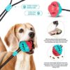 Chomp-n-Play Multi-Action Dog Toy