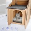 PurrMotion Pet Exercise Wheel