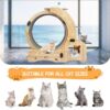 PurrMotion Pet Exercise Wheel