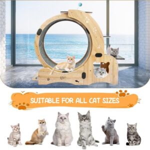 8e096df4-000a-41c8-8690-3a1a7f620f8f-3.jpg PurrMotion Pet Exercise Wheel