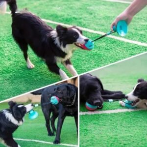 Chomp-n-Play Multi-Action Dog Toy
