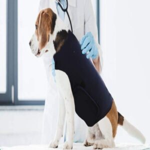 Anxiety-dog-3.jpg SereniPaws Pet Anxiety Calming Vest