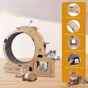 GUEST-3.jpg PurrMotion Pet Exercise Wheel