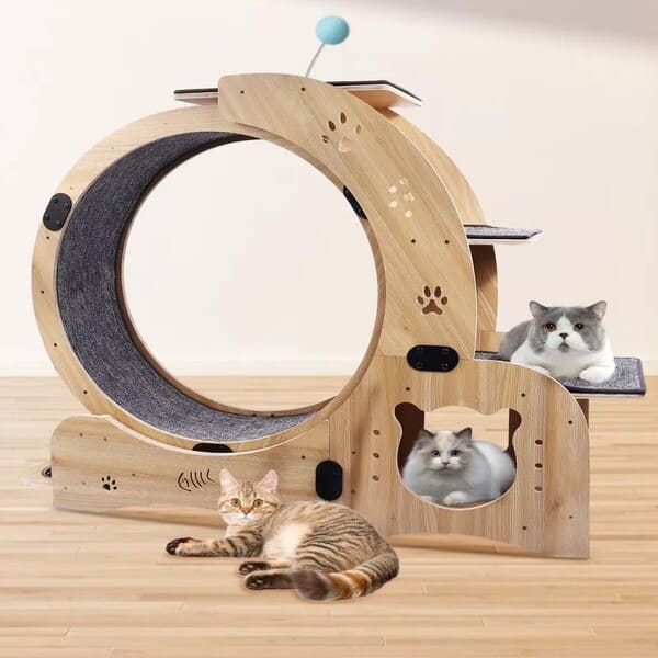 PurrMotion Pet Exercise Wheel