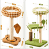 PawPal Playground Cat Tree
