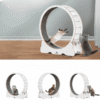 QuietWhirl Cat Fitness Wheel