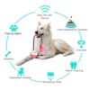 Chomp-n-Play Multi-Action Dog Toy