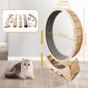 c9ea578a-6be6-4e6e-9177-8f6167889140-3.png QuietWhirl Cat Fitness Wheel