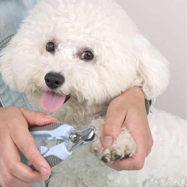 Nip & Clip Pet Scissors