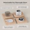 PawLink Automatic Feeder