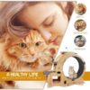 PurrMotion Pet Exercise Wheel