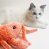 FlopSense Interactive Pet Toy
