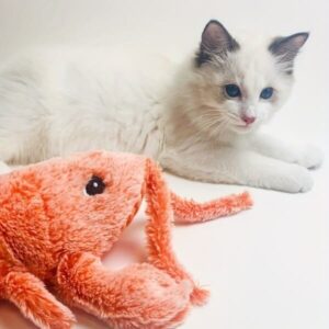 ee171a9b-113f-4732-a0cc-8fd1c4a68282-1-3.jpg FlopSense Interactive Pet Toy
