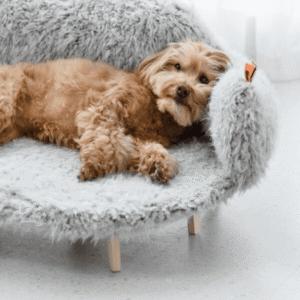 pets-1-3.png PawHaven Pet Sofa