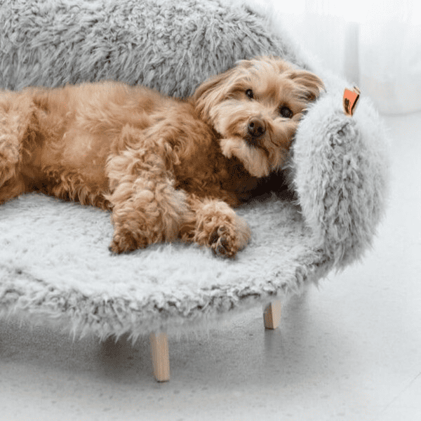 PawHaven Pet Sofa