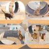 PurrMotion Pet Exercise Wheel