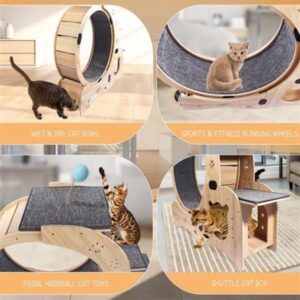 wheel-2-3.jpg PurrMotion Pet Exercise Wheel