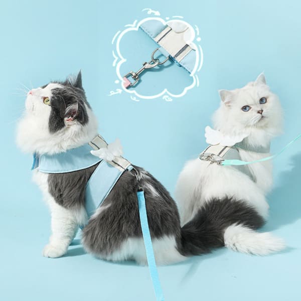 AngelPaws Harness Set