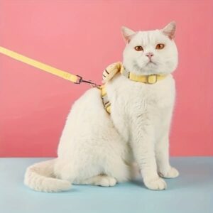 2_2221f722-50cd-4833-b9cc-ad2382613f3a BuzzBuddy Cat Harness