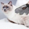FurEase Grooming Glove