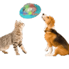 TreatOrbit Interactive Dog Toy