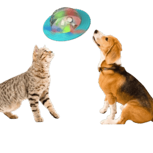 3_b87d6cec-cc17-41e6-9d6d-8e0386ede89b-removebg-preview TreatOrbit Interactive Dog Toy