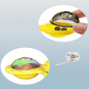 WhirlPaw Spinner Toy