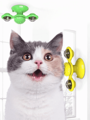 WhirlPaw Spinner Toy