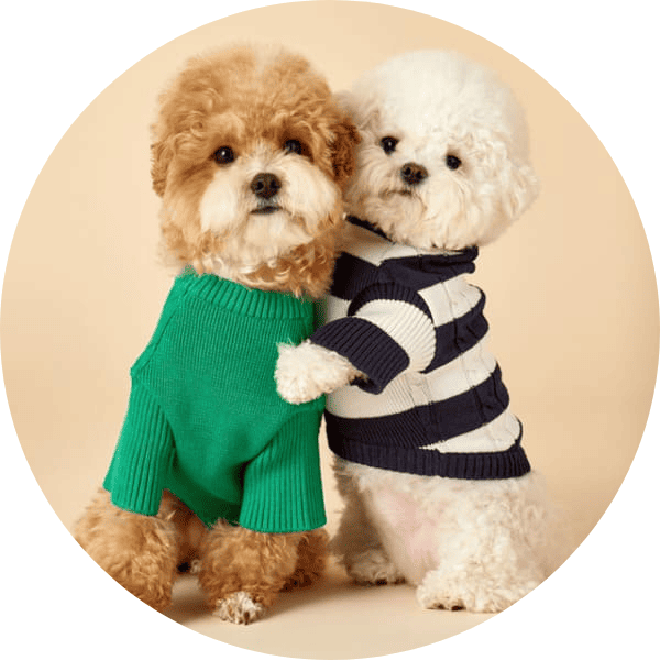 AngelPaws Harness Set