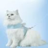 AngelPaws Harness Set