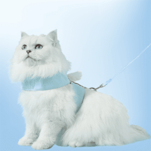 cat 1 AngelPaws Harness Set