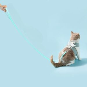cat AngelPaws Harness Set